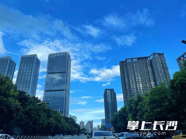 本周高温不会退场，最高气温将直冲39℃。均为长沙晚报全媒体记者 舒元臻 摄