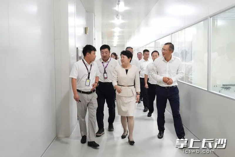 吴桂英在惠科股份有限公司考察交流。