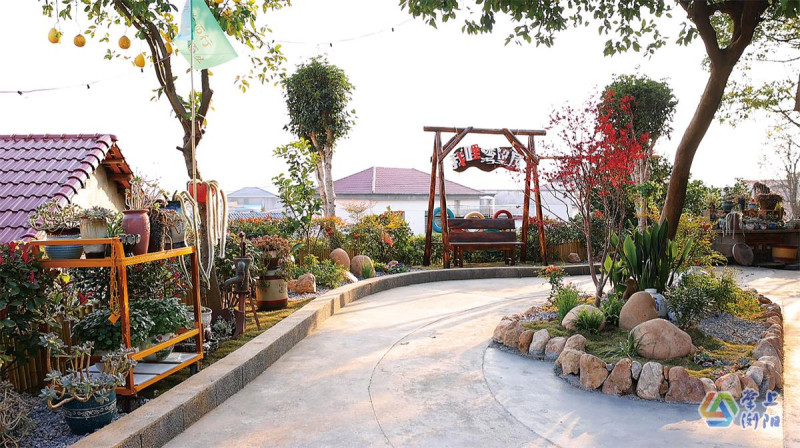 篱笆环绕、花草错落、流水叮咚……在专业美学团队的改造下，周向华家的小院焕然一新。