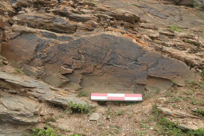 文物考古工作者于2023年7月在青海省玛多县扎陵湖畔对尕日塘秦刻石进行现场考察时拍摄的该刻石遗迹照片。图源：新华社