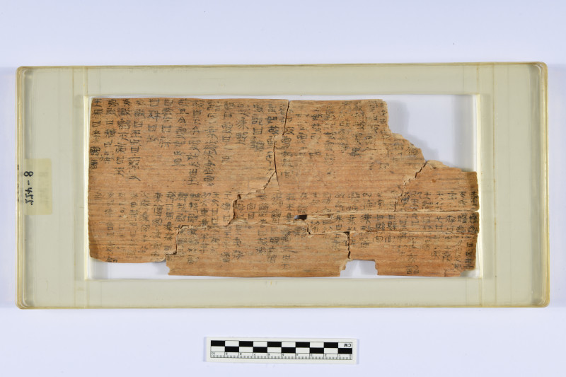 因“尕日塘秦刻石”的讨论，目前正在长沙博物馆“不尽长江滚滚来——长江与中华文明展”展出的里耶“更名诏书”木牍成为该展“网红”木牍。长沙晚报通讯员 方芳 供图