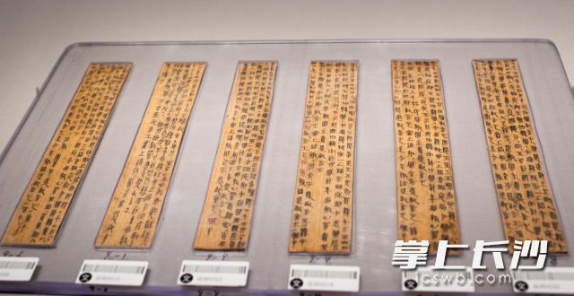 里耶秦简。邹麟 摄