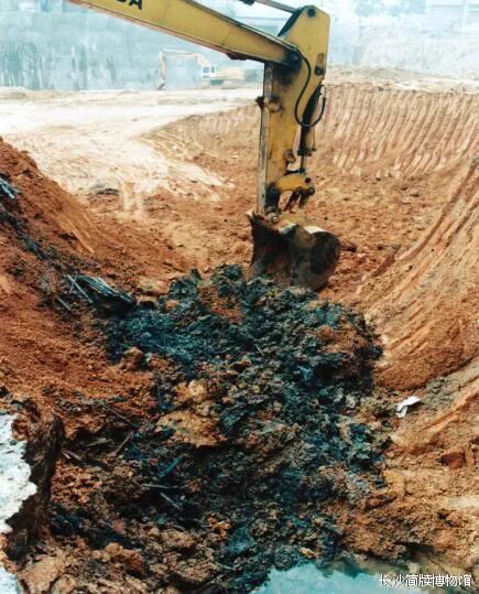 吴简散落在井外的现场情景。图源：长沙简牍博物馆