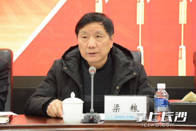 市委主题教育第四指导组组长梁粮出席会议并讲话。李立婷 摄