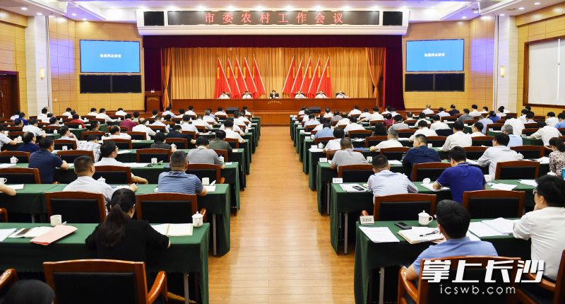 5月11日下午，市委农村工作会议召开。余劭劼 摄