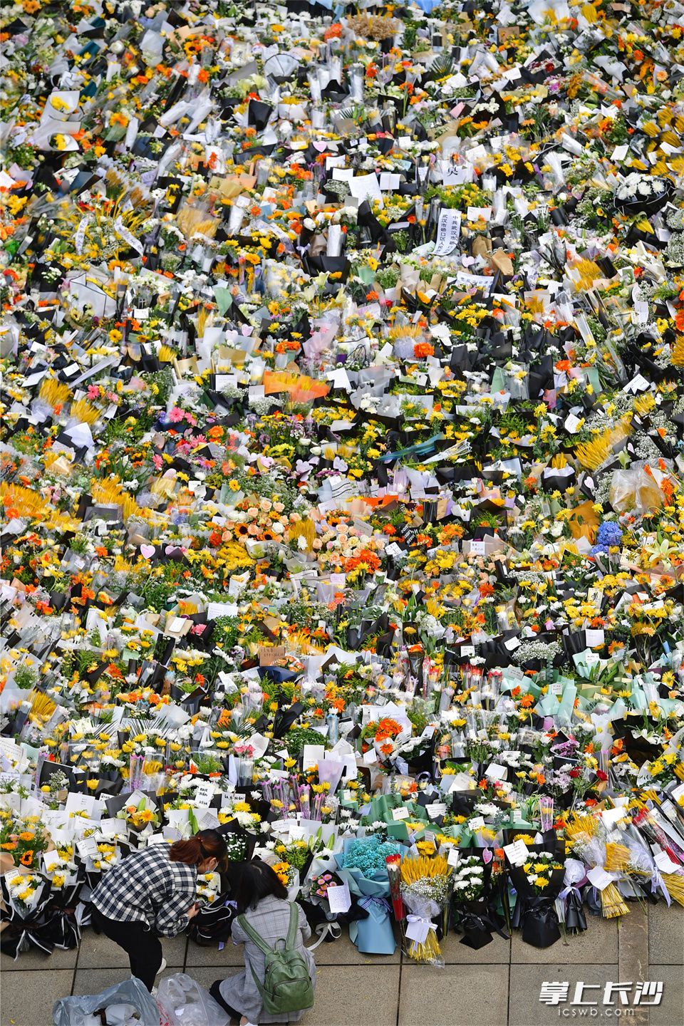 5月24日，来自全国各地的民众从四面八方涌入湖南杂交水稻研究中心，向袁隆平遗像献花，湖南杂交水稻研究中心吊唁厅前坪成了鲜花的海洋。