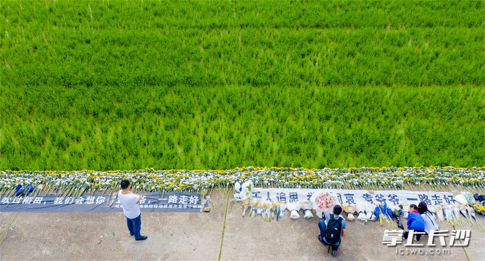 5月24日，湖南省水稻研究所杂交水稻试验田的田埂上摆满了菊花，民众以此表达对袁隆平的缅怀和追思。