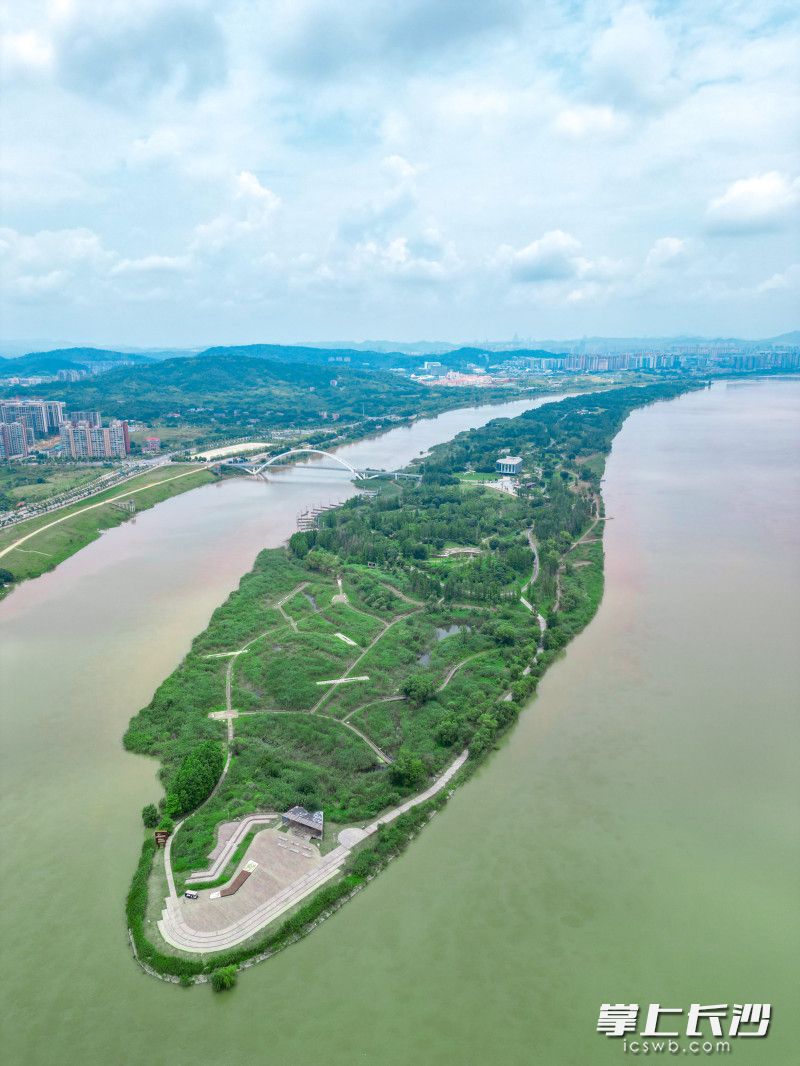 航拍巴溪洲。均为长沙晚报全媒体记者 王志伟 易亿 摄影报道