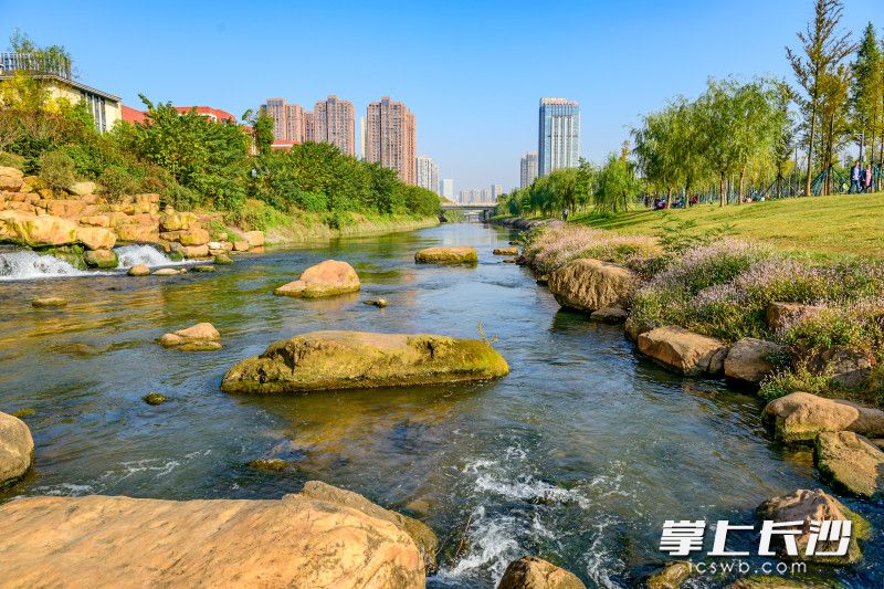 圭塘河边好风光。长沙晚报全媒体记者 陈飞 摄