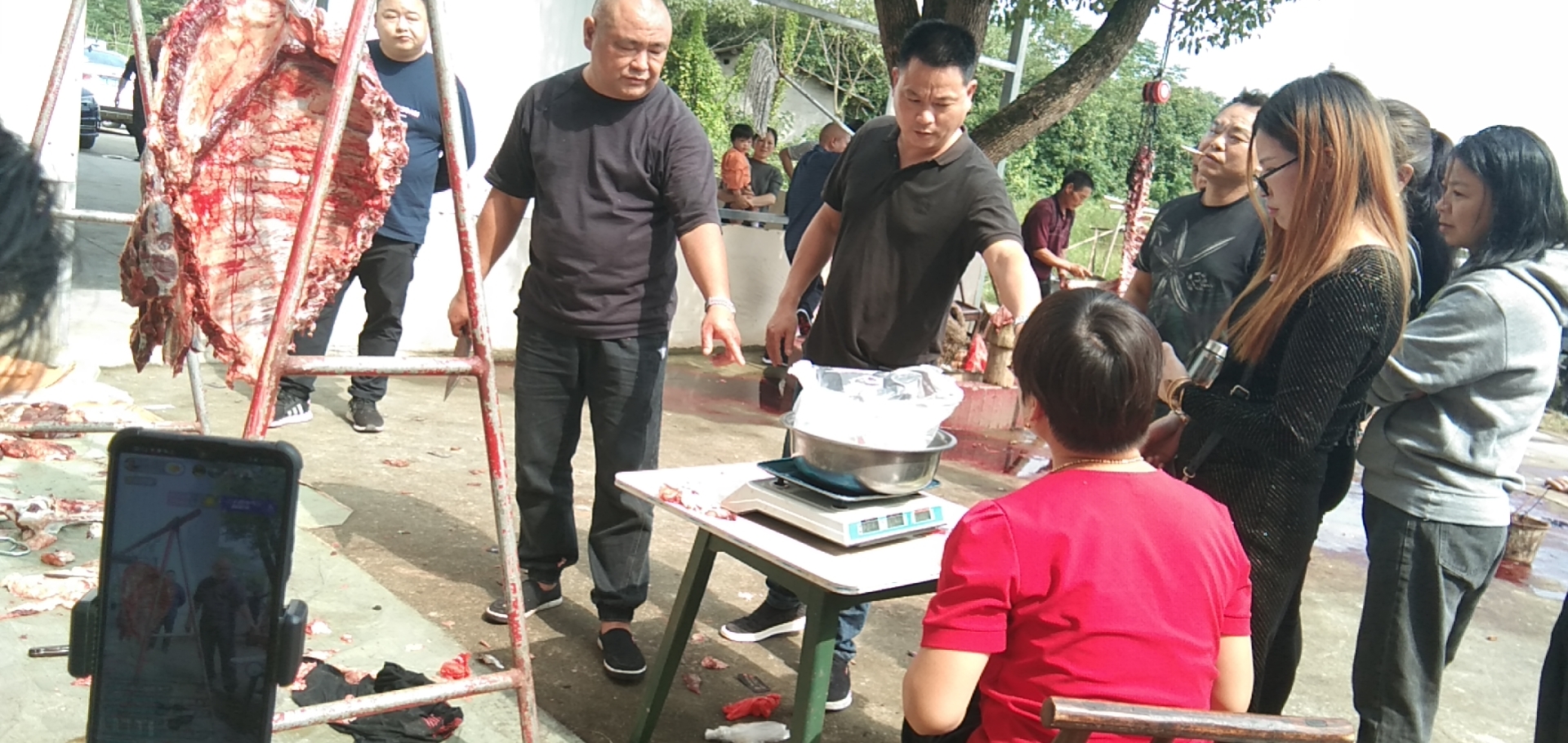 抖音大v“本家大伯”正以直播的方式推介当地宋家桥村的扶贫产品牛肉。长沙晚报通讯员 张瑞波 摄