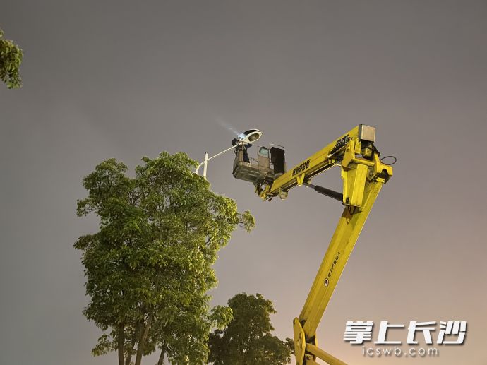 新姚路友谊路口，国网长沙供电分公司路灯管理所工作人员正在对一处损坏路灯进行维修。长沙晚报全媒体记者 唐朝昭 摄