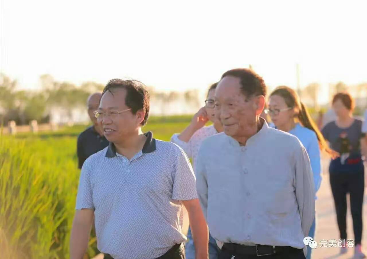 湖南杂交水稻研究中心研究员吴朝晖博士与袁隆平院士在青岛盐碱地稻作改良示范基地。均为受访者供图
