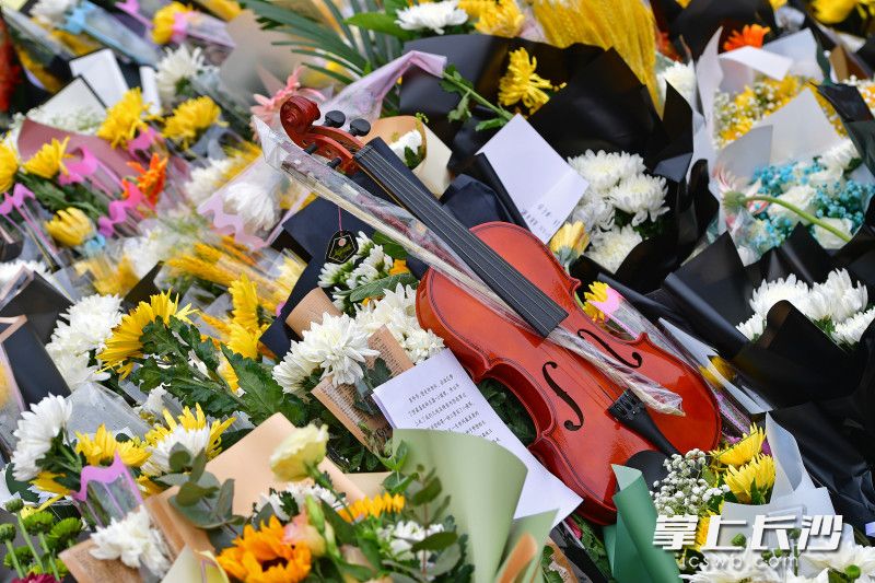 市民为袁老送来一把小提琴。   均为长沙晚报全媒体记者王志伟摄