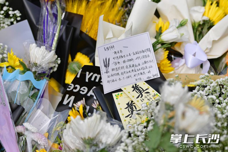 这些留言，感人至深。