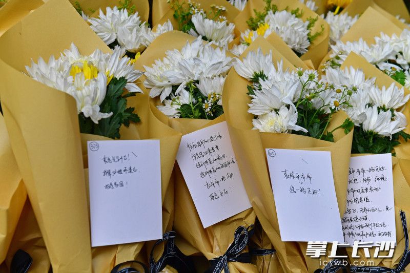 这些留言，感人至深。