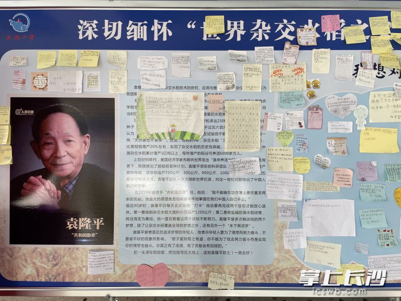 天心区西湖小学开展“我想对袁爷爷说”主题活动，孩子们在纸条上写着自己想对袁爷爷说的话。