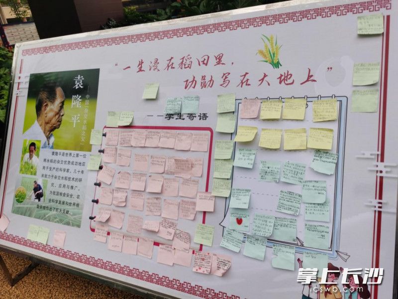 高新区明华小学孩子们制作“袁爷爷，我想对您说”留言卡，贴在教学楼大厅的展板上。