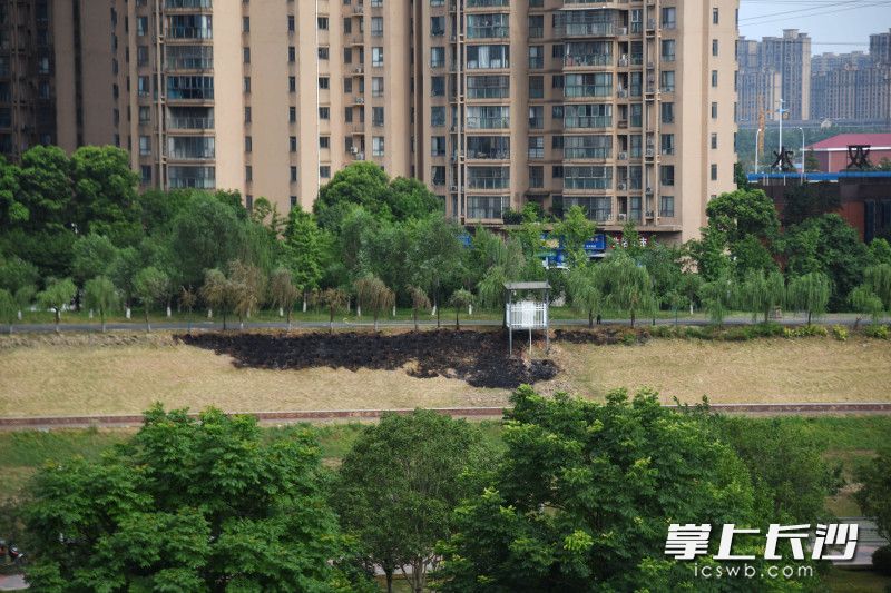 图片均为长沙晚报全媒体记者暗访拍摄