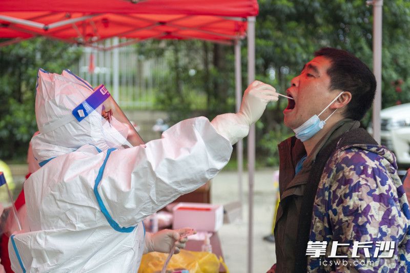 核酸检测采样有序进行。