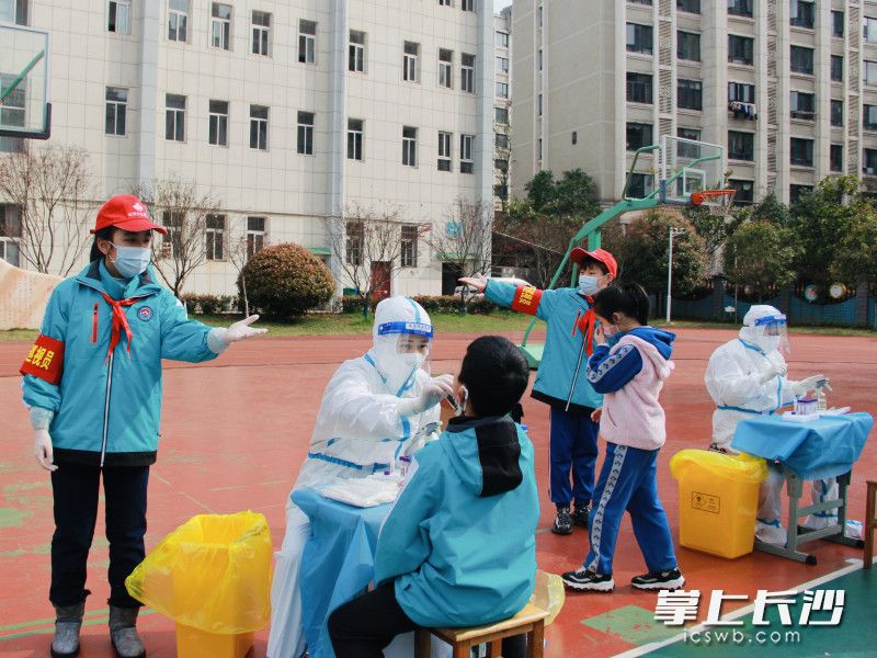 24日，雨花区枫树山大桥小学，小小志愿者正在有序引导做核酸检测的同学有序撤离。长沙晚报全媒体记者 邹麟 通讯员 李华英 摄