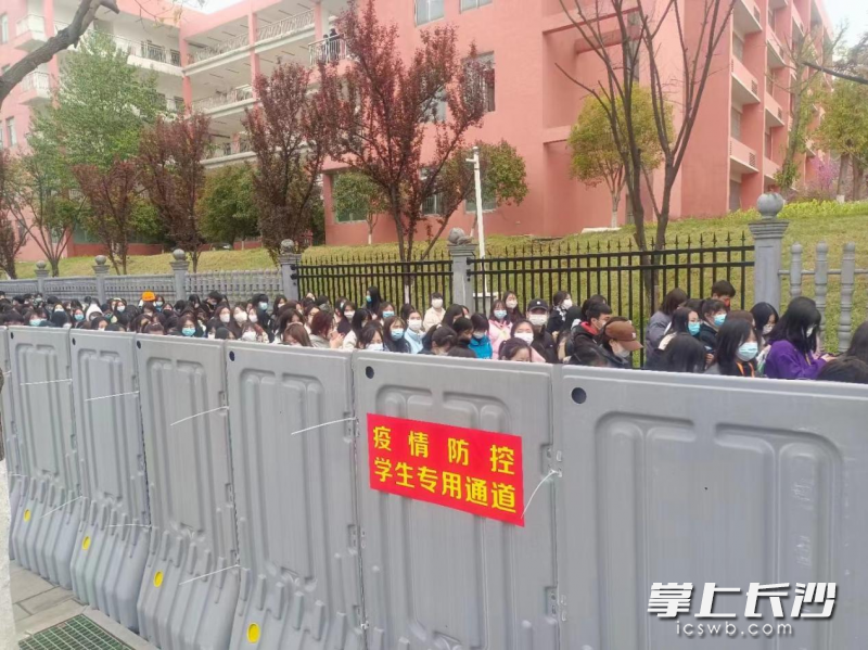 该校铺设的疫情防控学生专用通道。均为通讯员供图