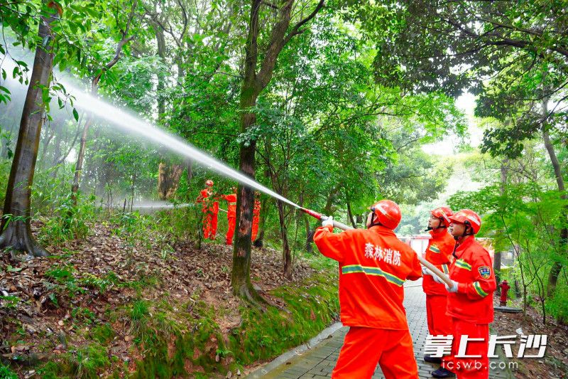 森林防火演练中，灭火队员现场扑灭森林“大火”。