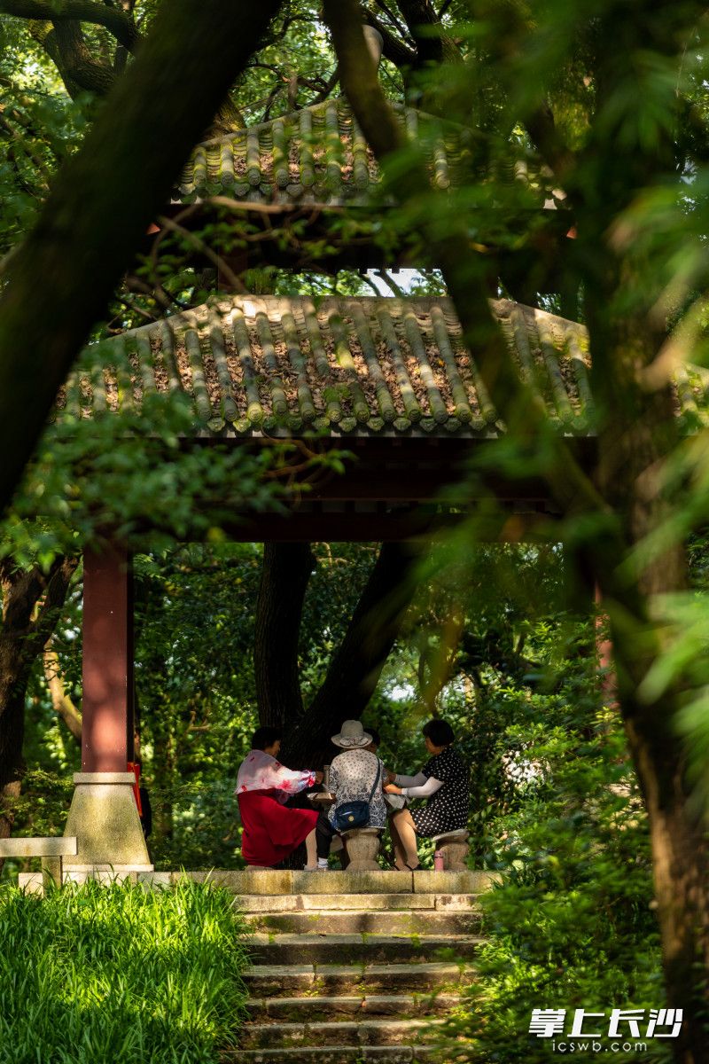 市民游客在烈士公园的凉亭内乘凉。长沙晚报全媒体记者 董阳 摄
