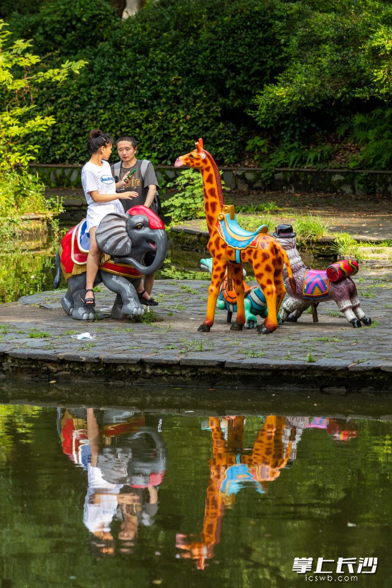 市民在烈士公园内游玩。长沙晚报全媒体记者 董阳 摄