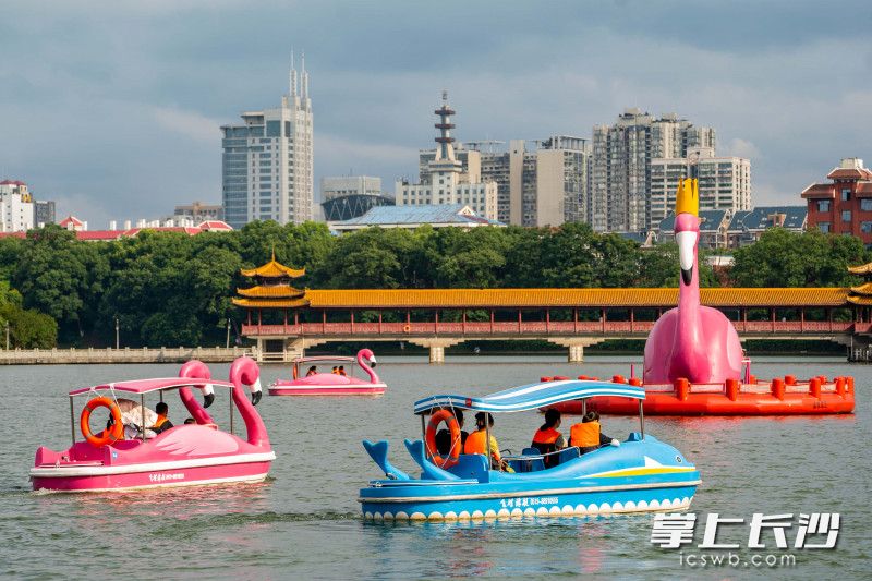 市民游客在烈士公园年嘉湖上泛舟。长沙晚报全媒体记者 刘晓敏 摄