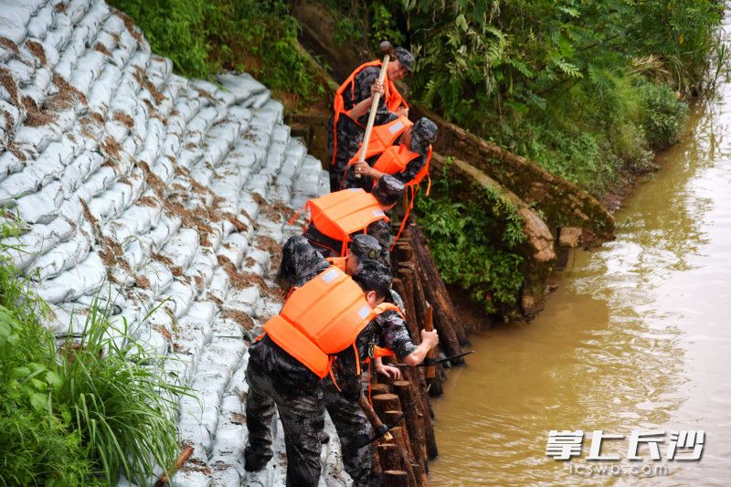 河堤固定小组紧急行动，全力抢险。长沙晚报全媒体记者 刘琦 摄