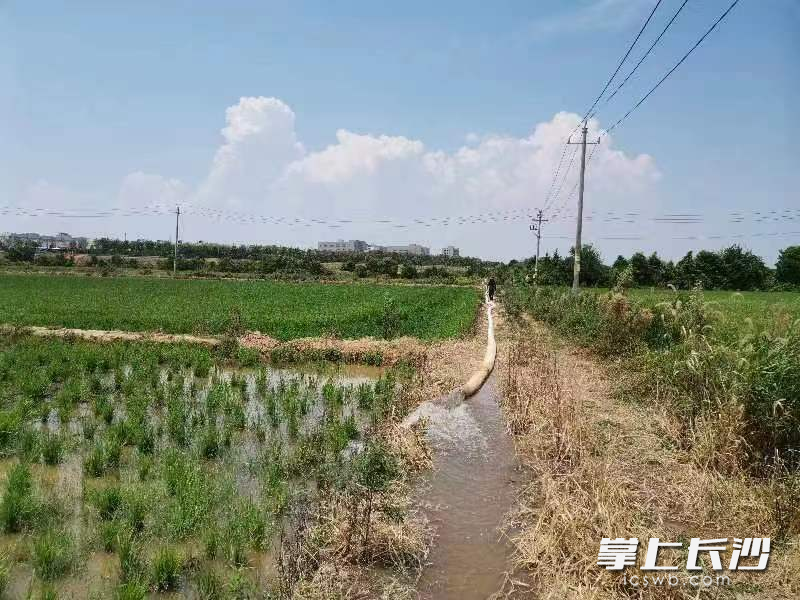 静慎支村两委以及党员、群众等志愿者不懈努力，疏通主渠3000多米，确保了两千多亩农田的灌溉问题。