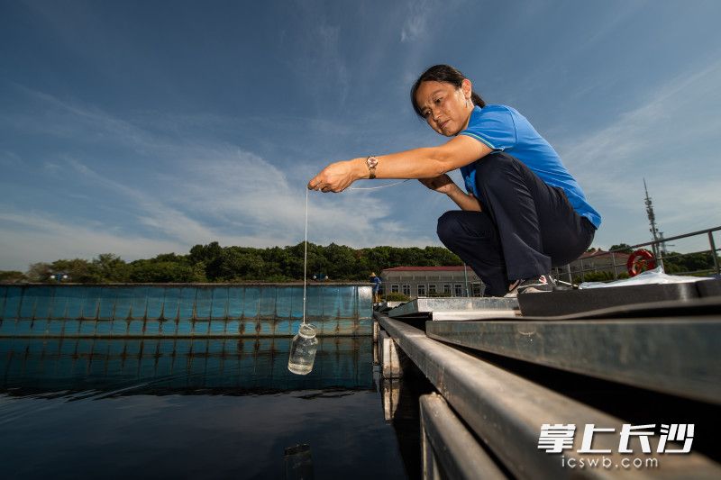 运行中心主任文怡从水池中进行取样。