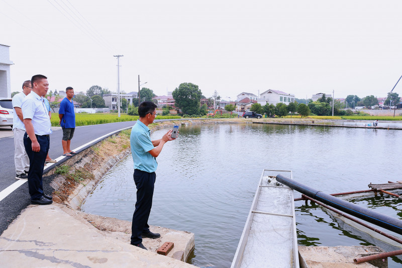胡平拿出手机，在app上就可控制抗旱电排，科学调度近千亩农田的灌溉用水。长沙晚报全媒体记者 颜开云 摄