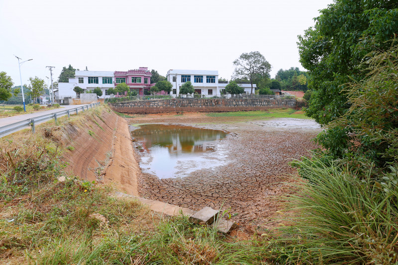 西湖潭村张家组，一口两亩多的山塘基本干涸见底。长沙晚报全媒体记者 颜开云 摄