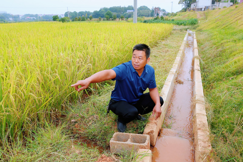 杨金雀说，打了深井后，组上的100多亩农田就不怕旱情了。长沙晚报全媒体记者 颜开云 摄
