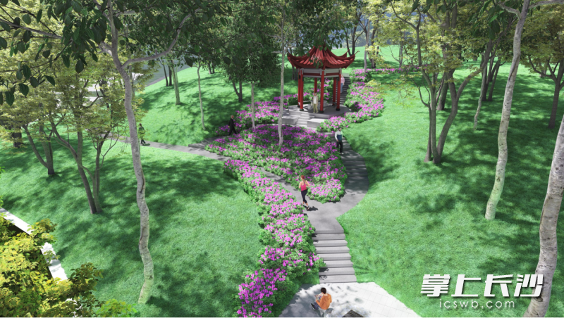 星沙文化公园提质后部分区域效果图。