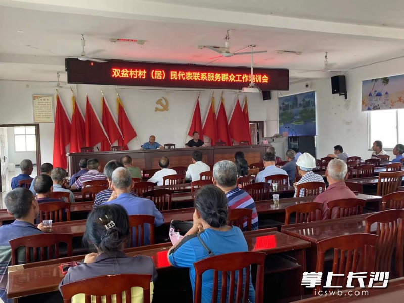 灰汤镇双盆村组织开展村（居）民代表联系服务群众工作培训会。