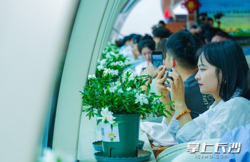 “栀香长沙”号游轮正式起航，游船上花香四溢。均为长沙晚报全媒体记者 邹麟 摄
