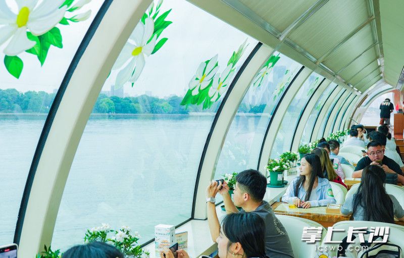 游客们纷纷拿起手机拍照。