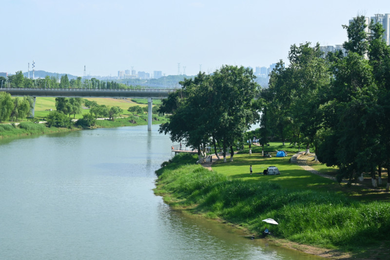 磨盘洲公园2号绿地位于磨盘洲南侧大廊桥下，从高空俯瞰，呈现为一个正圆形。 均为长沙晚报通讯员 杨欣雨 摄