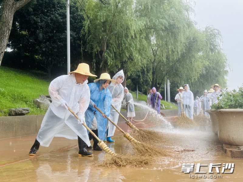 800多人火力全开，10个小时即完成橘子洲清淤工作。均为受访者供图