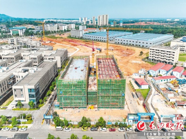 创智岛产业园区二期项目两栋厂房本周封顶。　　长沙晚报全媒体记者 刘晓敏 实习生 王浩然 摄影报道