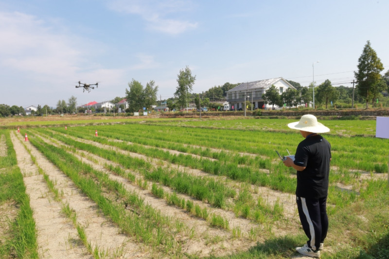 比赛现场，选手正在完成比赛项目。