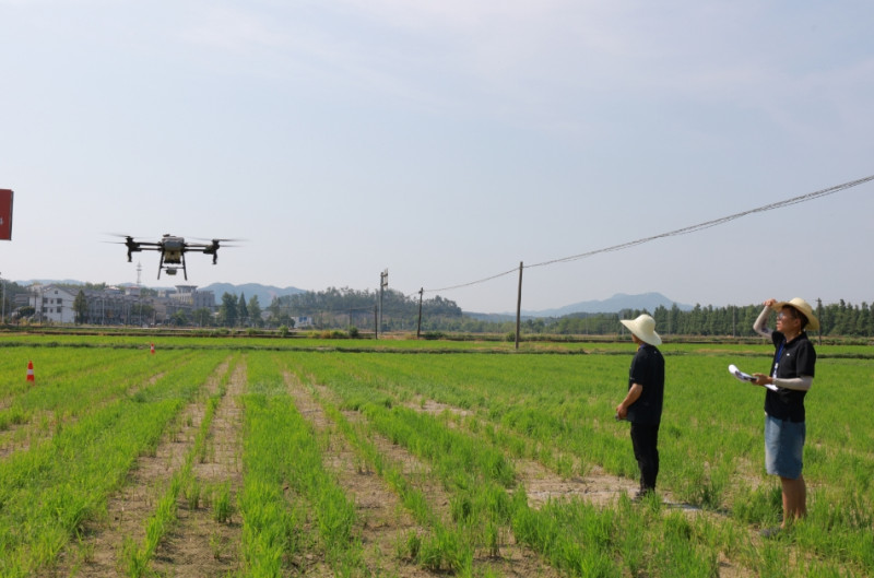 实操比赛现场，飞手们正在完成比赛项目。 