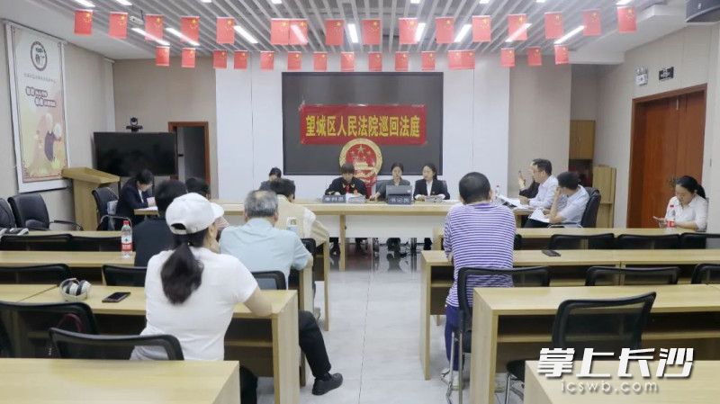 望城区法院将将法庭搬到小区开展巡回审判。均为望城区法院供图