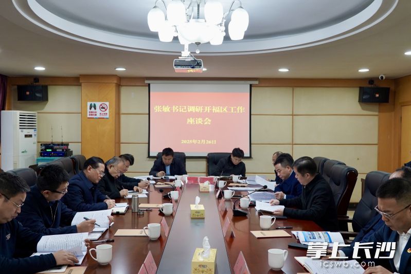 调研座谈会现场。 长沙晚报通讯员 袁帅 摄