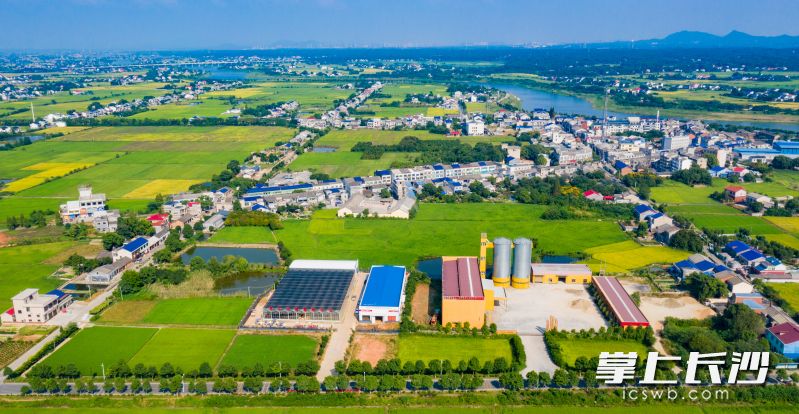 宁乡践行“农田三变”改革,让双江口镇美丽的田园风光更具魅力。长沙晚报全媒体记者 邹麟 摄 宁乡践行“农田三变”改革,让双江口镇美丽的田园风光更具魅力。长沙晚报全媒体记者 邹麟 摄