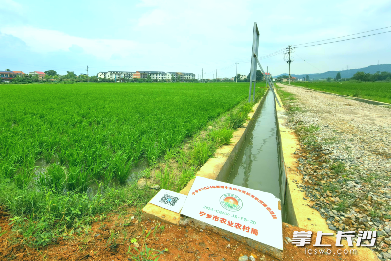 在回龙铺镇丰收村的高标准农田示范区,每一项工程都配备了独特的“二维码身份证”,手机一扫就可知详情。长沙晚报全媒体记者 张禹 摄 在回龙铺镇丰收村的高标准农田示范区,每一项工程都配备了独特的“二维码身份证”,手机一扫就可知详情。长沙晚报全媒体记者 张禹 摄