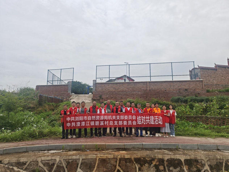 浏阳市澄潭江镇碧溪村党总支联合浏阳市自然资源局机关党支部，组织开展“迎七一·践初心——党员劳动做表率，服务群众暖民心”主题党日活动。