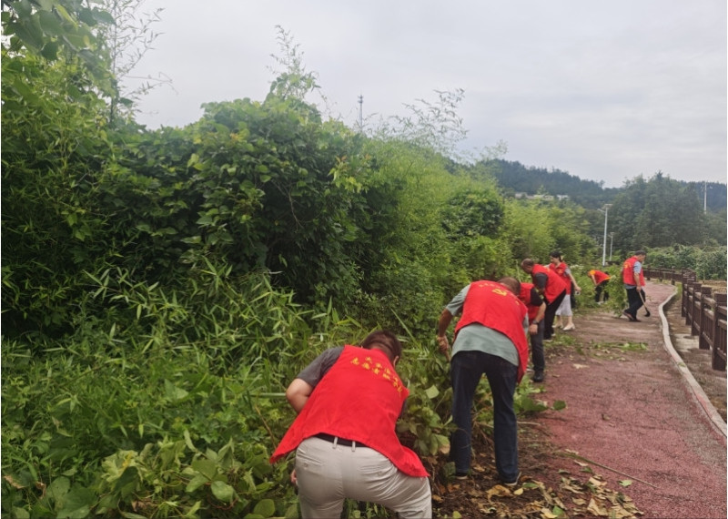 在碧溪村新建屋场的小溪旁，一抹鲜艳的“志愿红”格外引人注目。均为长沙晚报通讯员 邹玉瑛 供图